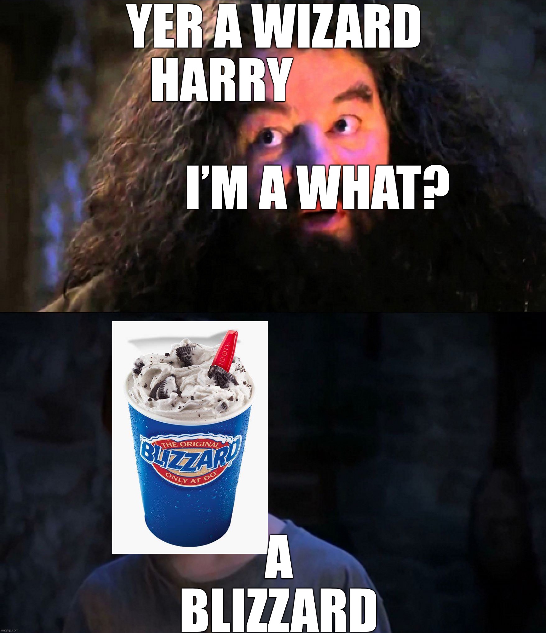 YOU’RE A BliZzArd hAIRy | YER A WIZARD HARRY                                      I’M A WHAT? A BLIZZARD | image tagged in you are wizzard harry | made w/ Imgflip meme maker