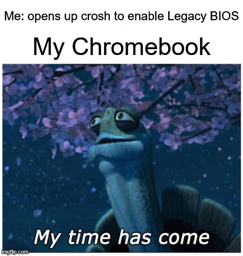 Me when preparing my Chromebook for a Native Linux installation | Me: opens up crosh to enable Legacy BIOS; My Chromebook | image tagged in my time has come | made w/ Imgflip meme maker