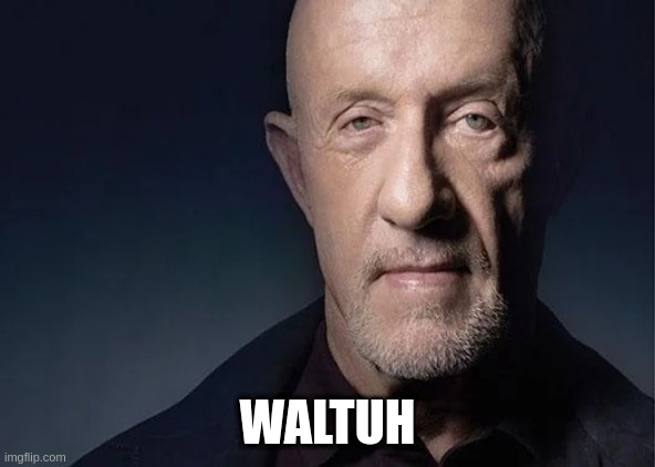 Waltuh | WALTUH | image tagged in waltuh | made w/ Imgflip meme maker