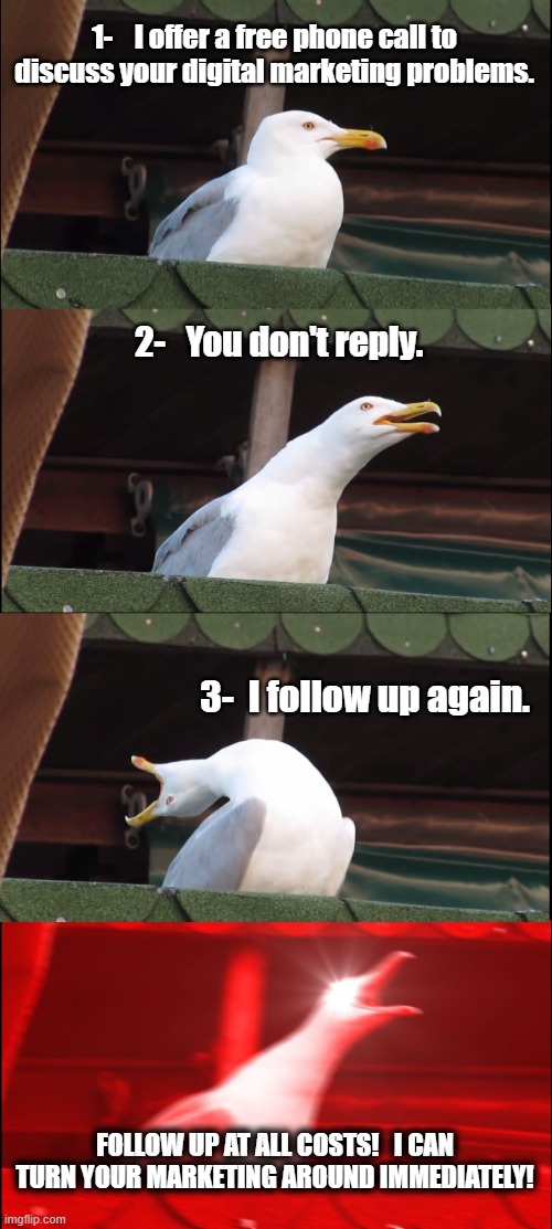 MM007 followup | 1-    I offer a free phone call to discuss your digital marketing problems. 2-   You don't reply. 3-  I follow up again. FOLLOW UP AT ALL COSTS!   I CAN TURN YOUR MARKETING AROUND IMMEDIATELY! | image tagged in memes,inhaling seagull | made w/ Imgflip meme maker