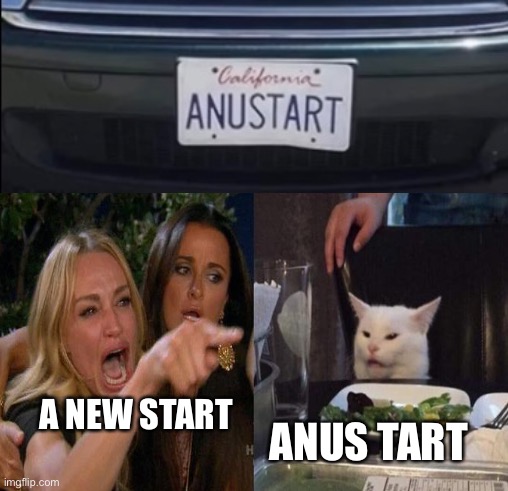Almost done posting | ANUS TART; A NEW START | made w/ Imgflip meme maker