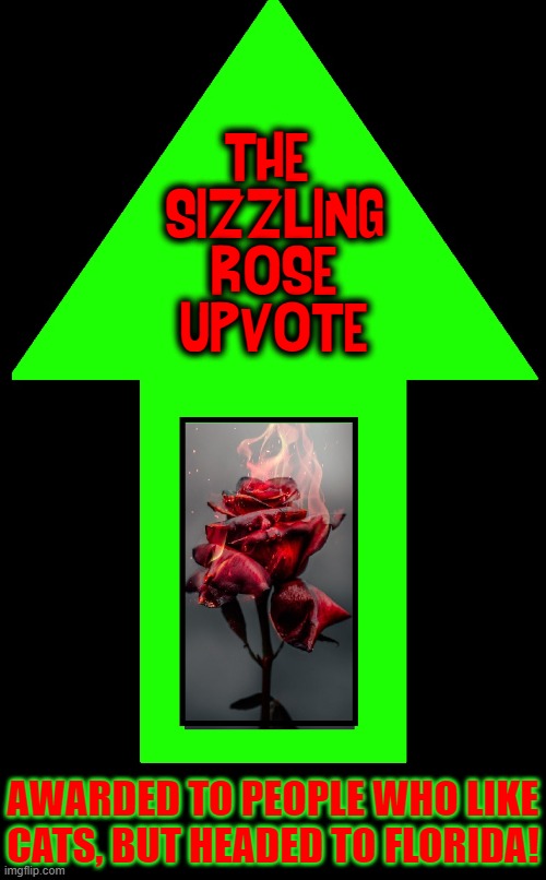 THE 
SIZZLING
ROSE
UPVOTE AWARDED TO PEOPLE WHO LIKE
CATS, BUT HEADED TO FLORIDA! | made w/ Imgflip meme maker
