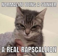 a real salleyway | made w/ Imgflip meme maker