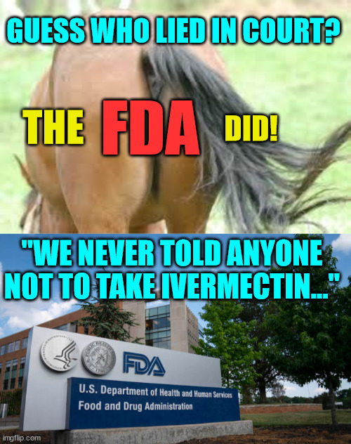 Liar liar FDA | GUESS WHO LIED IN COURT? FDA; THE; DID! "WE NEVER TOLD ANYONE NOT TO TAKE IVERMECTIN…" | image tagged in government corruption,liars | made w/ Imgflip meme maker