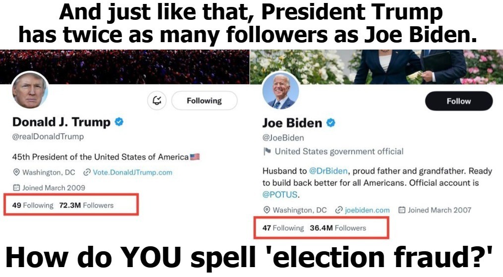 And just like that, President Trump has twice as many followers as Joe Biden. | image tagged in election fraud,voter fraud,sedition,treason,pedohitler,government corruption | made w/ Imgflip meme maker