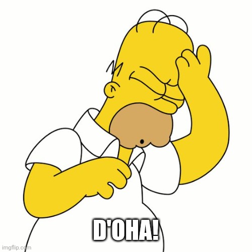 homer simpson doh | D'OHA! | image tagged in homer simpson doh | made w/ Imgflip meme maker