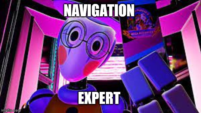 map bot | NAVIGATION EXPERT | image tagged in map bot | made w/ Imgflip meme maker