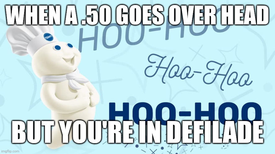 WHEN A .50 GOES OVER HEAD; BUT YOU'RE IN DEFILADE | image tagged in GunMemes | made w/ Imgflip meme maker