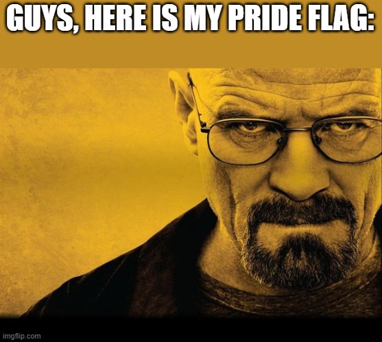 Breaking Pride | GUYS, HERE IS MY PRIDE FLAG: | image tagged in breaking bad | made w/ Imgflip meme maker