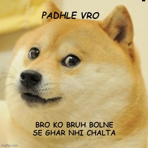 Doge Meme | PADHLE VRO; BRO KO BRUH BOLNE SE GHAR NHI CHALTA | image tagged in memes,doge | made w/ Imgflip meme maker