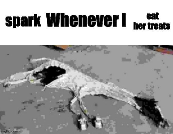 spark; eat her treats | image tagged in whenever i | made w/ Imgflip meme maker