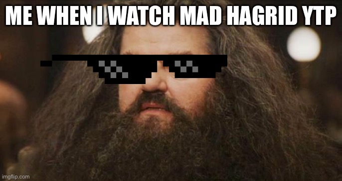 Mad Hagrid | ME WHEN I WATCH MAD HAGRID YTP | image tagged in hagrid | made w/ Imgflip meme maker