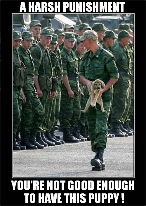 The Consequences Of Failure ! | A HARSH PUNISHMENT; YOU'RE NOT GOOD ENOUGH
 TO HAVE THIS PUPPY ! | image tagged in dogs,military,punishment | made w/ Imgflip meme maker