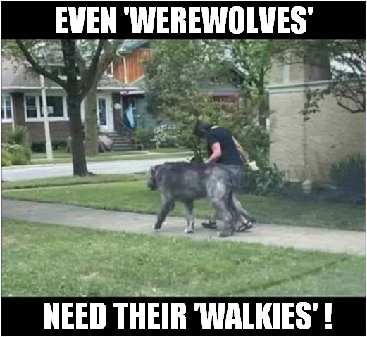 What A Good Owner Does ! | EVEN 'WEREWOLVES'; NEED THEIR 'WALKIES' ! | image tagged in dogs,werewolf,walkies | made w/ Imgflip meme maker