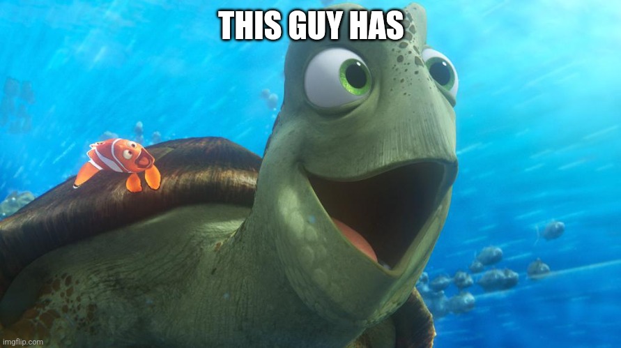 Righteous turtle | THIS GUY HAS | image tagged in righteous turtle | made w/ Imgflip meme maker