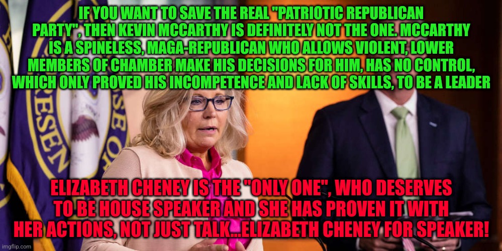 Liz Cheney Kevin McCarthy | IF YOU WANT TO SAVE THE REAL "PATRIOTIC REPUBLICAN PARTY", THEN KEVIN MCCARTHY IS DEFINITELY NOT THE ONE. MCCARTHY IS A SPINELESS, MAGA-REPUBLICAN WHO ALLOWS VIOLENT, LOWER MEMBERS OF CHAMBER MAKE HIS DECISIONS FOR HIM, HAS NO CONTROL, WHICH ONLY PROVED HIS INCOMPETENCE AND LACK OF SKILLS, TO BE A LEADER; ELIZABETH CHENEY IS THE "ONLY ONE", WHO DESERVES TO BE HOUSE SPEAKER AND SHE HAS PROVEN IT WITH HER ACTIONS, NOT JUST TALK...ELIZABETH CHENEY FOR SPEAKER! | image tagged in liz cheney kevin mccarthy | made w/ Imgflip meme maker