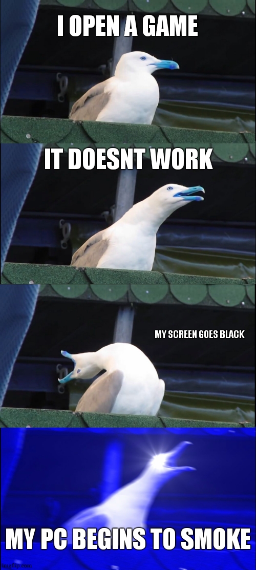 broken pc | I OPEN A GAME; IT DOESNT WORK; MY SCREEN GOES BLACK; MY PC BEGINS TO SMOKE | image tagged in memes,inhaling seagull | made w/ Imgflip meme maker