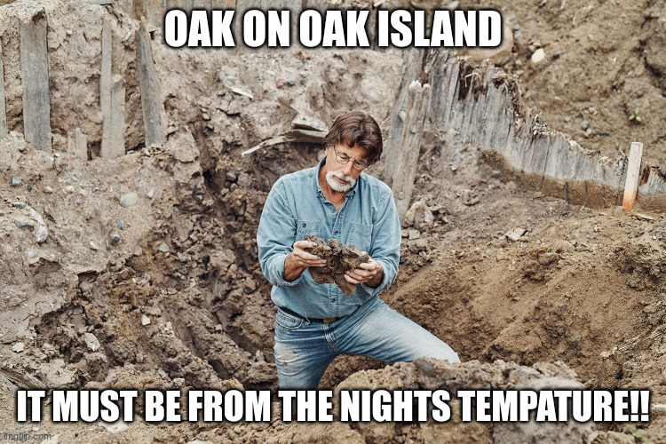 Oak on Oak Island | OAK ON OAK ISLAND; IT MUST BE FROM THE NIGHTS TEMPATURE!! | image tagged in oak on oak island | made w/ Imgflip meme maker