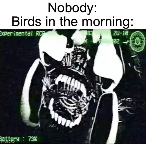 Nobody:
Birds in the morning: | image tagged in oh wow are you actually reading these tags | made w/ Imgflip meme maker