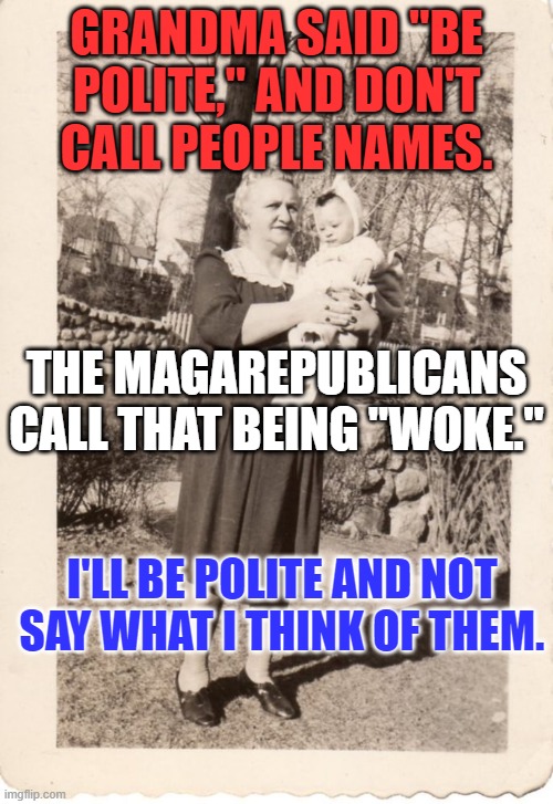 Of course, Grandma was a real conservative. | GRANDMA SAID "BE POLITE," AND DON'T CALL PEOPLE NAMES. THE MAGAREPUBLICANS CALL THAT BEING "WOKE."; I'LL BE POLITE AND NOT SAY WHAT I THINK OF THEM. | image tagged in politics | made w/ Imgflip meme maker