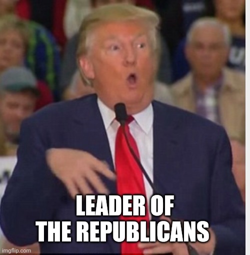 Donald Trump tho | LEADER OF THE REPUBLICANS | image tagged in donald trump tho | made w/ Imgflip meme maker