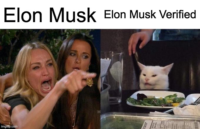 Woman Yelling At Cat Meme | Elon Musk; Elon Musk Verified | image tagged in memes,woman yelling at cat | made w/ Imgflip meme maker