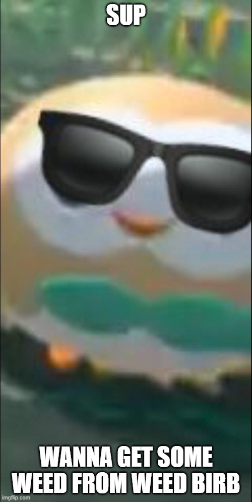 Cool ROWLET | SUP; WANNA GET SOME WEED FROM WEED BIRB | image tagged in cool rowlet | made w/ Imgflip meme maker
