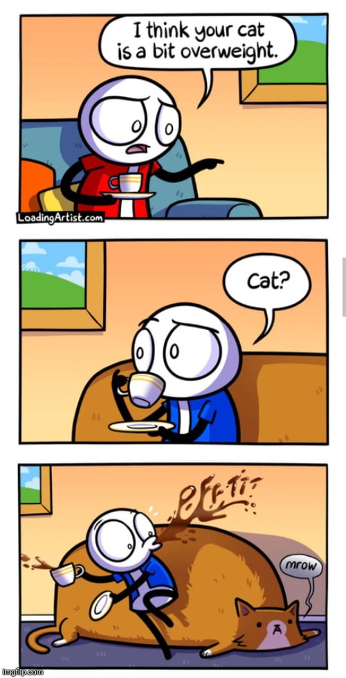 Cat is the couch. | image tagged in cats,cat,couch,comics,comics/cartoons,overweight | made w/ Imgflip meme maker