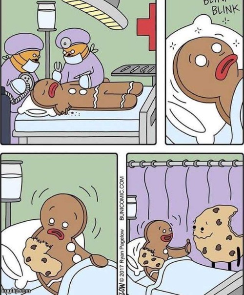 The Gingerbread Man and Chocolate Chip cookie | image tagged in gingerbread man,chocolate chip cookie,cookie,gingerbread,comics,comic | made w/ Imgflip meme maker