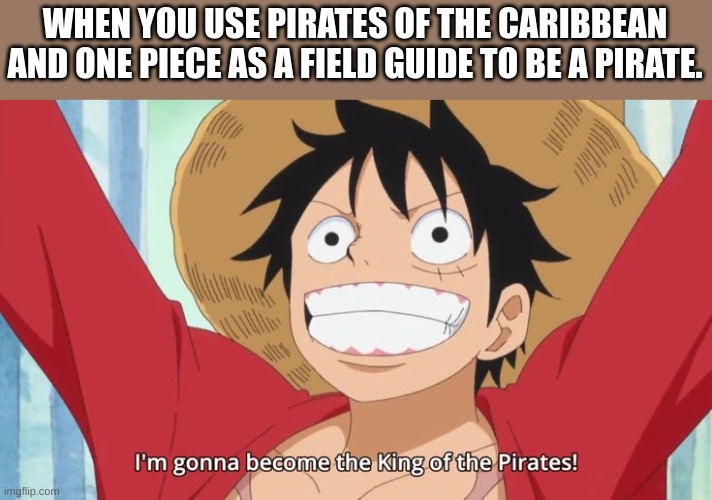 im gonna become the king of the pirates | WHEN YOU USE PIRATES OF THE CARIBBEAN AND ONE PIECE AS A FIELD GUIDE TO BE A PIRATE. | image tagged in im gonna become the king of the pirates | made w/ Imgflip meme maker