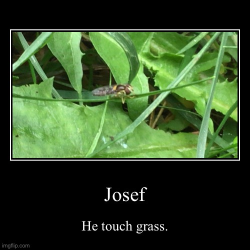 Josef | He touch grass. | image tagged in funny,demotivationals | made w/ Imgflip demotivational maker
