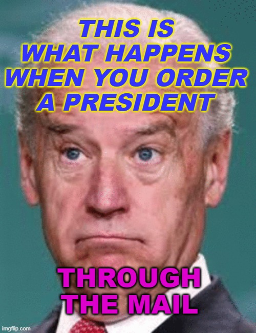 This Is What Happens When You Order A President Through The Mail | THIS IS WHAT HAPPENS
WHEN YOU ORDER
A PRESIDENT; THROUGH THE MAIL | image tagged in biden doofus | made w/ Imgflip meme maker