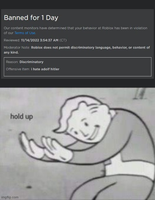 roblox likes hitler | image tagged in fallout hold up | made w/ Imgflip meme maker