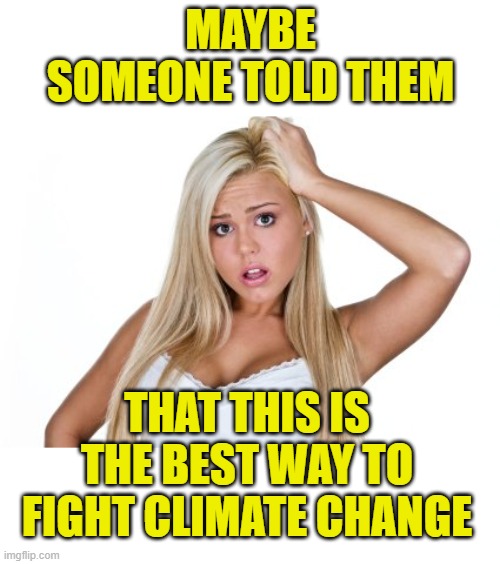 Dumb Blonde | MAYBE SOMEONE TOLD THEM THAT THIS IS THE BEST WAY TO FIGHT CLIMATE CHANGE | image tagged in dumb blonde | made w/ Imgflip meme maker
