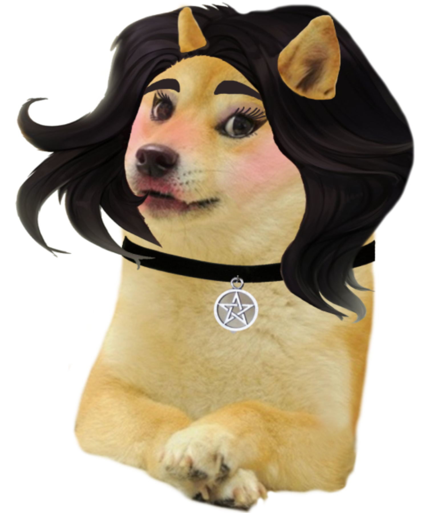 High Quality Alt girl doge Blank Meme Template