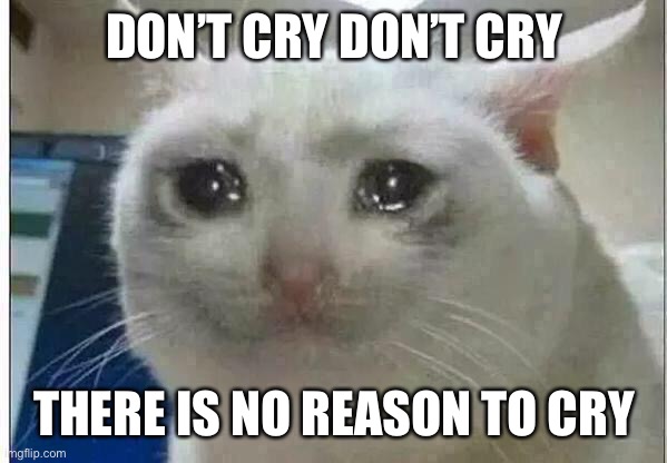 crying cat | DON’T CRY DON’T CRY THERE IS NO REASON TO CRY | image tagged in crying cat | made w/ Imgflip meme maker