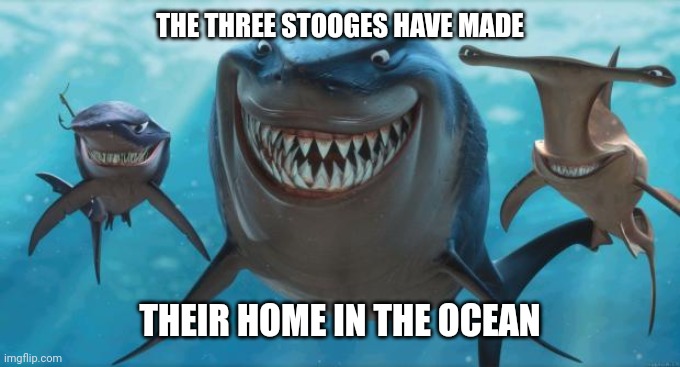 Finding Nemo Sharks | THE THREE STOOGES HAVE MADE; THEIR HOME IN THE OCEAN | image tagged in finding nemo sharks | made w/ Imgflip meme maker