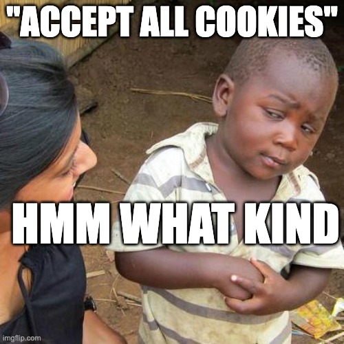 hMmMM wHaT kINd | "ACCEPT ALL COOKIES"; HMM WHAT KIND | image tagged in memes,third world skeptical kid,funny memes,funny kids | made w/ Imgflip meme maker