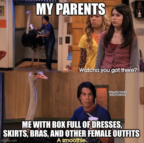 Lmao if they ever found out I would die ? | MY PARENTS; ME WITH BOX FULL OF DRESSES, SKIRTS, BRAS, AND OTHER FEMALE OUTFITS | image tagged in what you got there | made w/ Imgflip meme maker