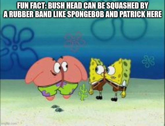 bow tie lookin ass | FUN FACT: BUSH HEAD CAN BE SQUASHED BY A RUBBER BAND LIKE SPONGEBOB AND PATRICK HERE | made w/ Imgflip meme maker
