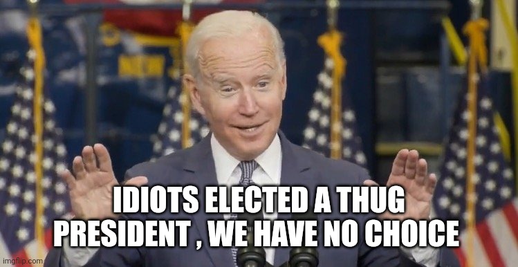 Cocky joe biden | IDIOTS ELECTED A THUG PRESIDENT , WE HAVE NO CHOICE | image tagged in cocky joe biden | made w/ Imgflip meme maker