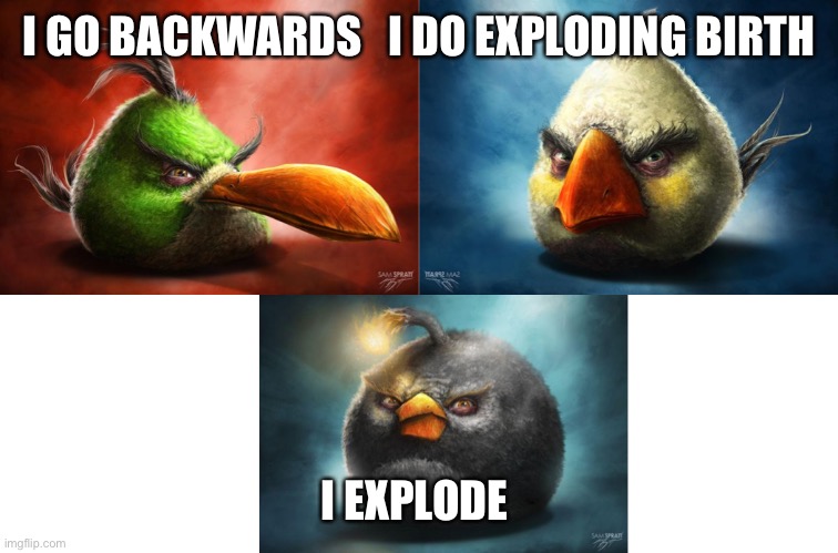 Angry Birds Realistic | I GO BACKWARDS   I DO EXPLODING BIRTH; I EXPLODE | image tagged in angry birds realistic,angry birds,realistic red angry birds,angry birds pig,gifs,memes | made w/ Imgflip meme maker