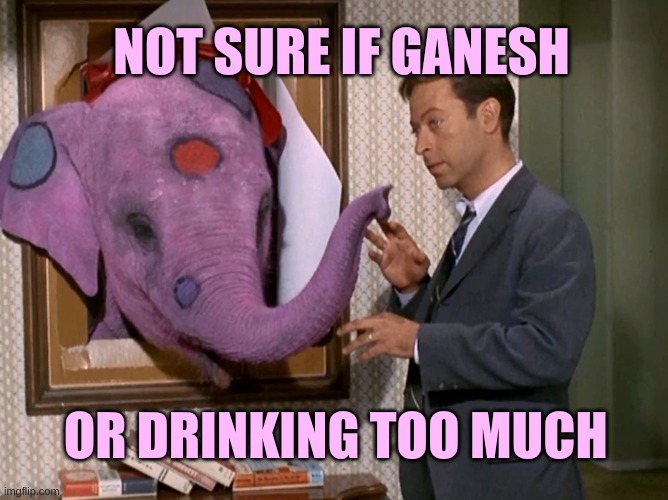 Bewitched Gazebo | NOT SURE IF GANESH; OR DRINKING TOO MUCH | image tagged in bewitched gazebo,elephant,bewitched,not sure if,drinking,hallucinate | made w/ Imgflip meme maker