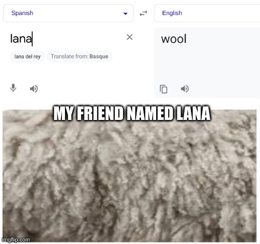 my friend turned into | MY FRIEND NAMED LANA | image tagged in blank white template,lana,spanish,google translate | made w/ Imgflip meme maker