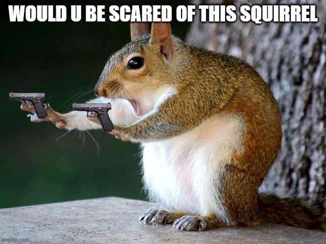 would u? | WOULD U BE SCARED OF THIS SQUIRREL | image tagged in stop squirrel | made w/ Imgflip meme maker