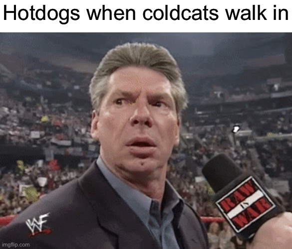 *zad snas undertale noises* | Hotdogs when coldcats walk in | image tagged in x when y walks in | made w/ Imgflip meme maker