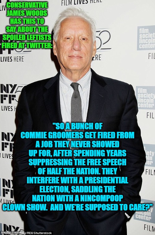 Now that is going to leave a mark among hysterical leftists. | CONSERVATIVE JAMES WOODS HAS THIS TO SAY ABOUT THE SPOILED LEFTISTS FIRED AT TWITTER:; "SO A BUNCH OF COMMIE GROOMERS GET FIRED FROM A JOB THEY NEVER SHOWED UP FOR, AFTER SPENDING YEARS SUPPRESSING THE FREE SPEECH OF HALF THE NATION. THEY INTERFERE WITH A PRESIDENTIAL ELECTION, SADDLING THE NATION WITH A NINCOMPOOP CLOWN SHOW.  AND WE’RE SUPPOSED TO CARE?" | image tagged in truth | made w/ Imgflip meme maker