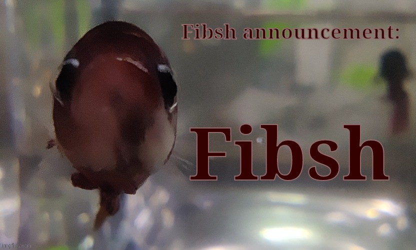 Fibsh | Fibsh | image tagged in fibsh | made w/ Imgflip meme maker