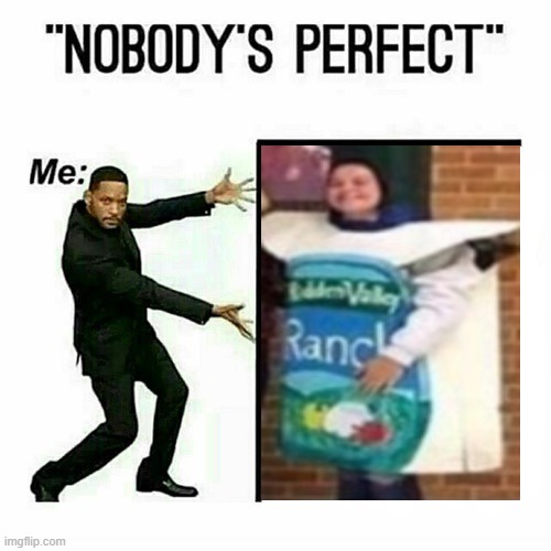 Will Smith nobody’s perfect template | image tagged in will smith nobody s perfect template | made w/ Imgflip meme maker