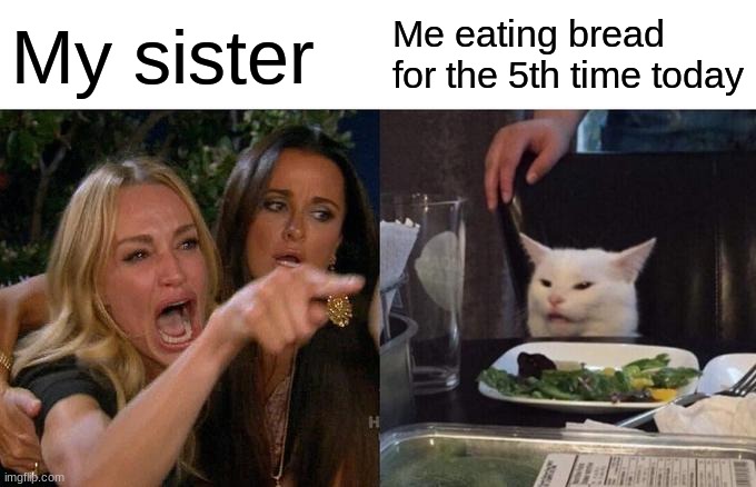lol | My sister; Me eating bread for the 5th time today | image tagged in memes,woman yelling at cat | made w/ Imgflip meme maker